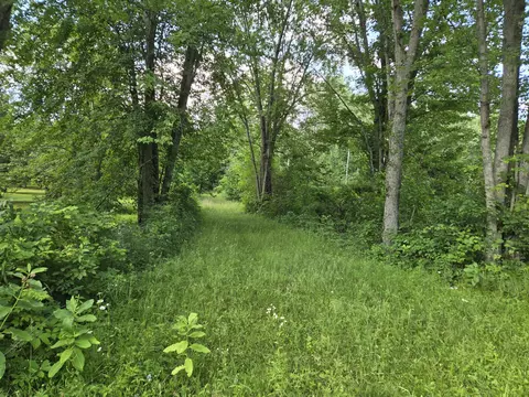 5571 Werth Rd, Alpena, MI 49707 photo 20