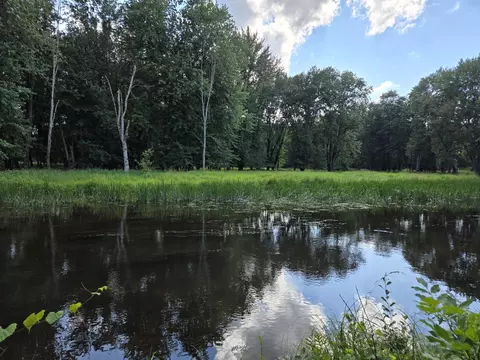 5571 Werth Rd, Alpena, MI 49707 photo 18