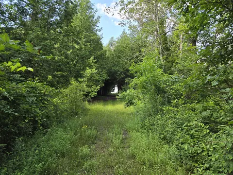 5571 Werth Rd, Alpena, MI 49707 photo 21