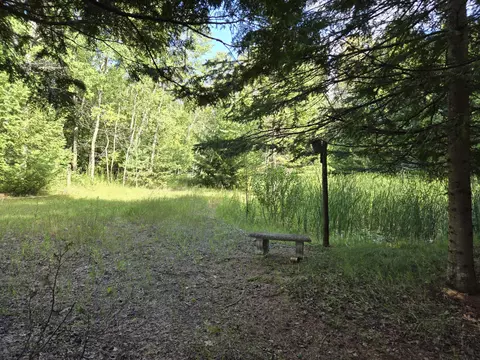 5571 Werth Rd, Alpena, MI 49707 photo 23