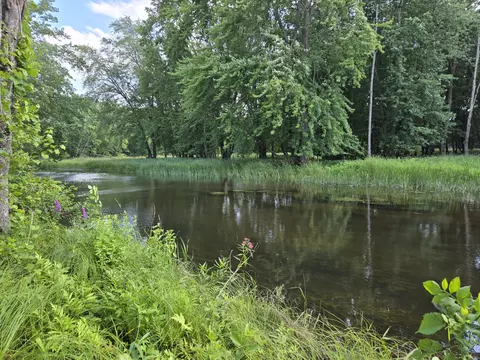 5571 Werth Rd, Alpena, MI 49707 photo 2
