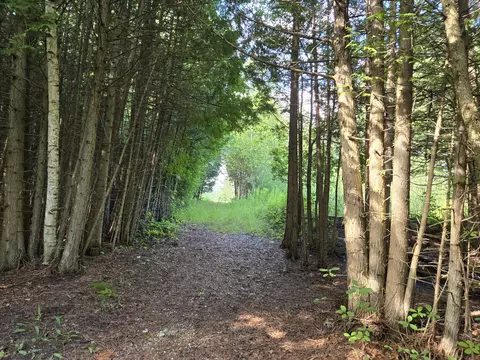 5571 Werth Rd, Alpena, MI 49707 photo 22