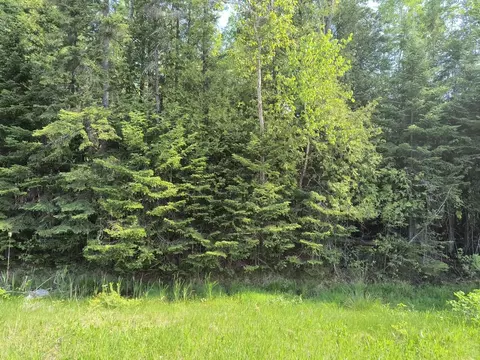 NHN M-68 Highway #15.65 ACRES, Rogers City, MI 49779