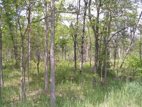 20 West Federal Highway #20 ACRES, Roscommon, MI 48653
