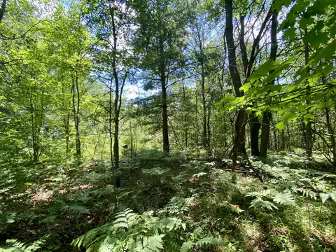 Bear Lake Road, Johannesburg, MI 49751