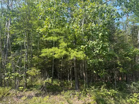lot129 Wilderness Dr, Presque Isle, MI 49777