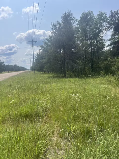 Lovells Road, Grayling, MI 49738