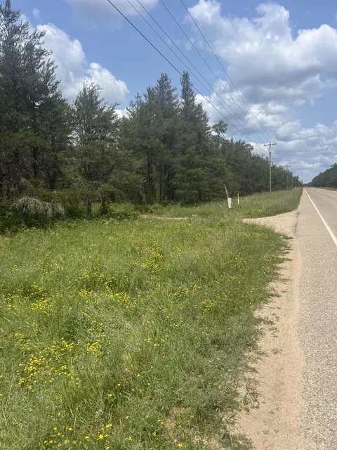 Lovells Road, Grayling, MI 49738 photo 4