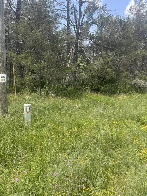 Lovells Road, Grayling, MI 49738 photo 6