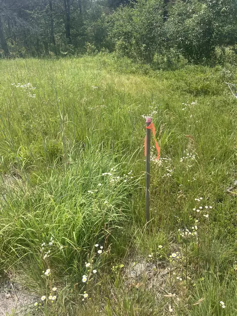 Lovells Road, Grayling, MI 49738 photo 7