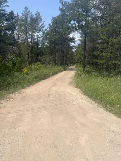 Lovells Road, Grayling, MI 49738 photo 5