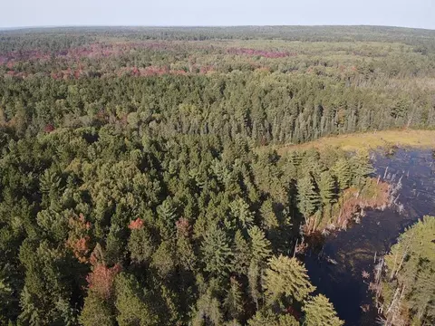 S Branch Trail, Indian River, MI 49749
