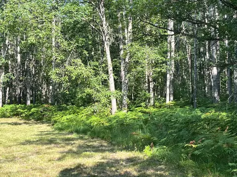 Undisclosed, Roscommon, MI 48653 photo 11
