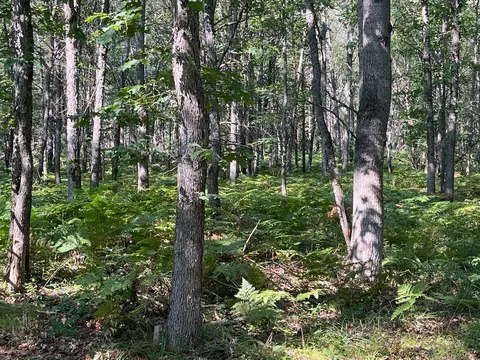 Undisclosed, Roscommon, MI 48653 photo 13