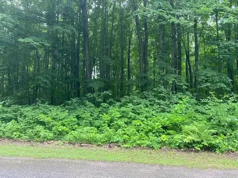 lot531 Sprucedale Circle Elmira Mi 49730 Cir, Elmira, MI 49730