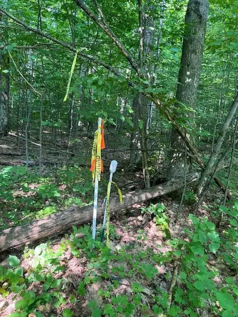11618 Hardwood Trail Frederic Mi 49733 Trl, Frederic, MI 49733 photo 21