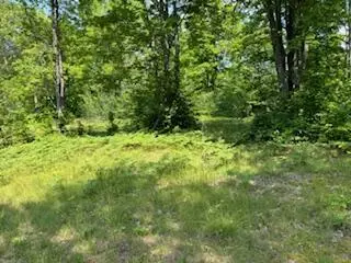 11618 Hardwood Trail Frederic Mi 49733 Trl, Frederic, MI 49733 photo 10
