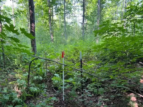 11618 Hardwood Trail Frederic Mi 49733 Trl, Frederic, MI 49733 photo 23