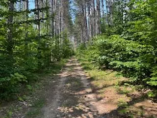 11618 Hardwood Trail Frederic Mi 49733 Trl, Frederic, MI 49733 photo 8