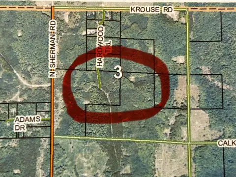 11618 Hardwood Trail Frederic Mi 49733 Trl, Frederic, MI 49733 photo 6