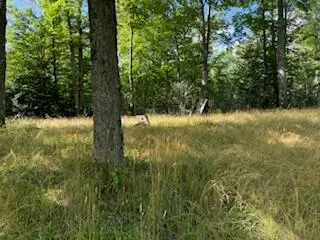 11618 Hardwood Trail Frederic Mi 49733 Trl, Frederic, MI 49733 photo 16