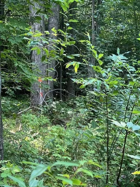 11618 Hardwood Trail Frederic Mi 49733 Trl, Frederic, MI 49733 photo 22