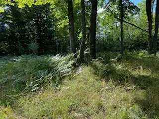 11618 Hardwood Trail Frederic Mi 49733 Trl, Frederic, MI 49733 photo 17