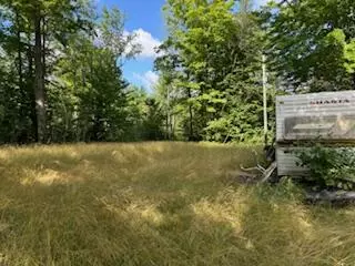 11618 Hardwood Trail Frederic Mi 49733 Trl, Frederic, MI 49733 photo 2