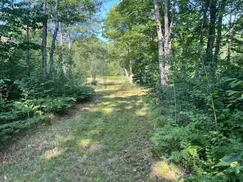 11618 Hardwood Trail Frederic Mi 49733 Trl, Frederic, MI 49733 photo 20