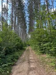 11618 Hardwood Trail Frederic Mi 49733 Trl, Frederic, MI 49733 photo 18