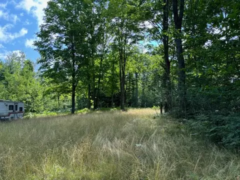 11618 Hardwood Trail Frederic Mi 49733 Trl, Frederic, MI 49733 photo 12