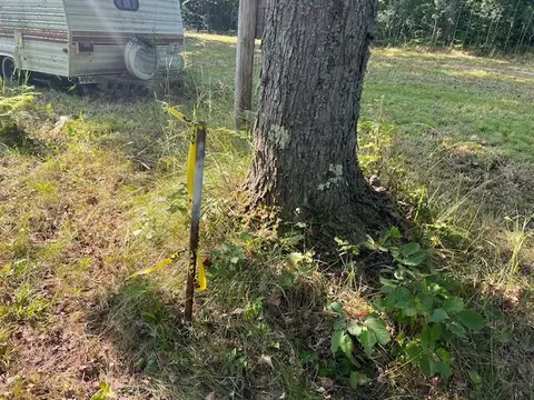 11618 Hardwood Trail Frederic Mi 49733 Trl, Frederic, MI 49733 photo 3