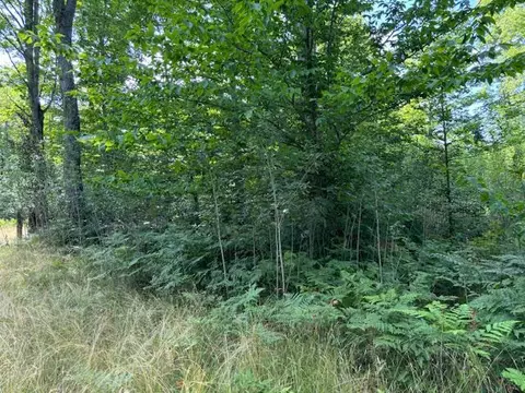 11618 Hardwood Trail Frederic Mi 49733 Trl, Frederic, MI 49733 photo 13