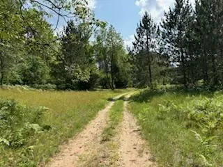 11618 Hardwood Trail Frederic Mi 49733 Trl, Frederic, MI 49733 photo 11