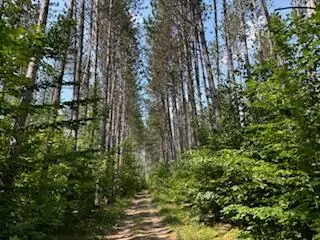 11618 Hardwood Trail Frederic Mi 49733 Trl, Frederic, MI 49733 photo 9
