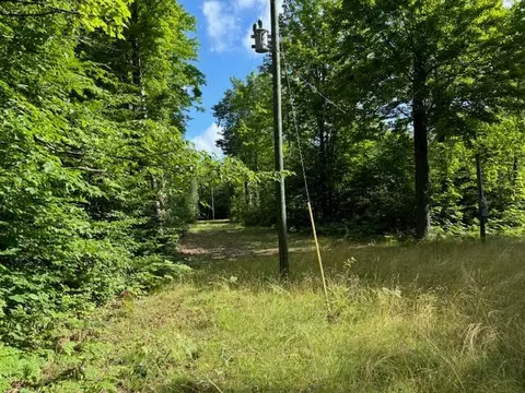 11618 Hardwood Trail Frederic Mi 49733 Trl, Frederic, MI 49733 photo 14