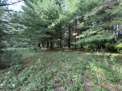 Exterior - 2861 E Roe Road Spruce Mi 48762 Rd, Spruce, MI 48762 photo 6 of 8