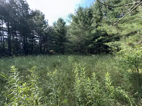 Other - 2861 E Roe Road Spruce Mi 48762 Rd, Spruce, MI 48762 photo 1 of 5