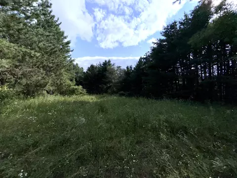 Exterior - 2861 E Roe Road Spruce Mi 48762 Rd, Spruce, MI 48762 photo 7 of 8
