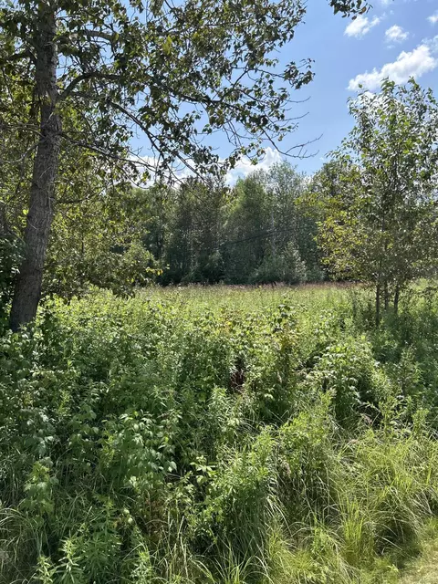 NHN S Jefferson Street #1.72 ACRES, Alpena, MI 49707