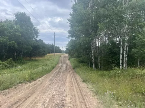 Pappys Trail, Grayling, MI 49738 photo 2