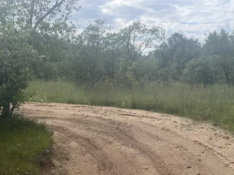 Pappys Trail, Grayling, MI 49738 photo 4