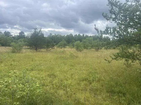 Pappys Trail, Grayling, MI 49738