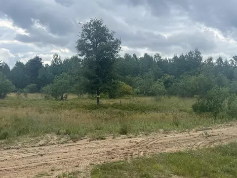 Pappys Trail, Grayling, MI 49738 photo 3