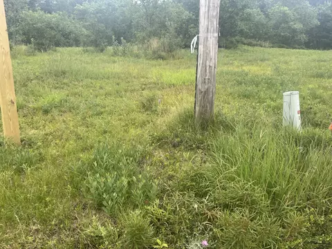 Pappys Trail, Grayling, MI 49738 photo 5