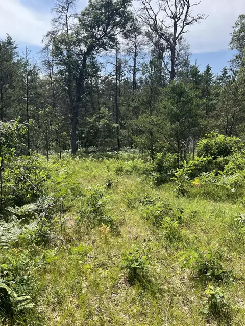 Sandy Trail, Grayling, MI 49738