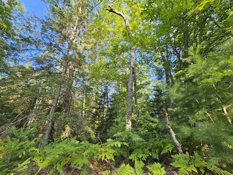 14568 Shore Line Dr, Wolverine, MI 49799
