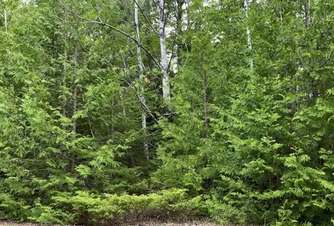 lot266 Kauffman Road Presque Isle Mi 49777 Rd, Presque Isle, MI 49777