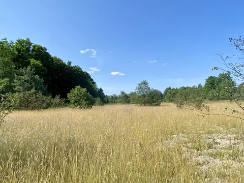 Van Tyle Road, Gaylord, MI 49735