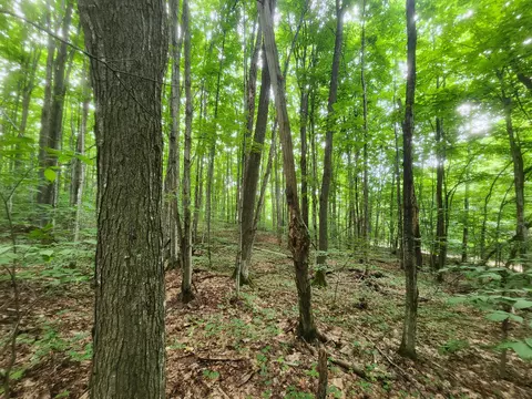E Greenway Drive, Frederic, MI 49733 photo 10